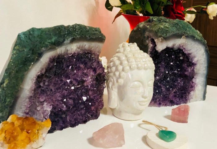 PHOTO-2019-02-18-11-56-18